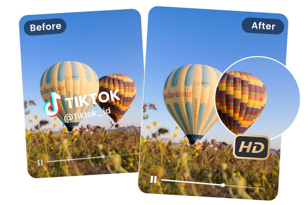Remove the watermark from the hot air balloon video