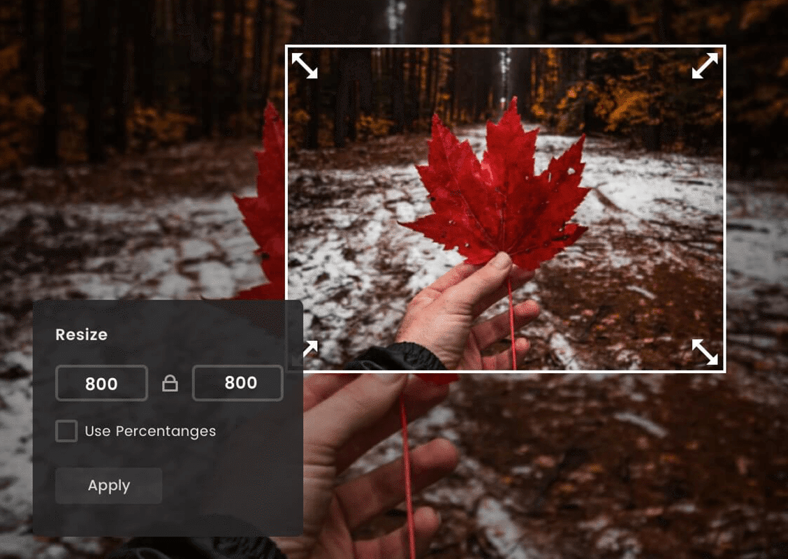 multiple image resize online