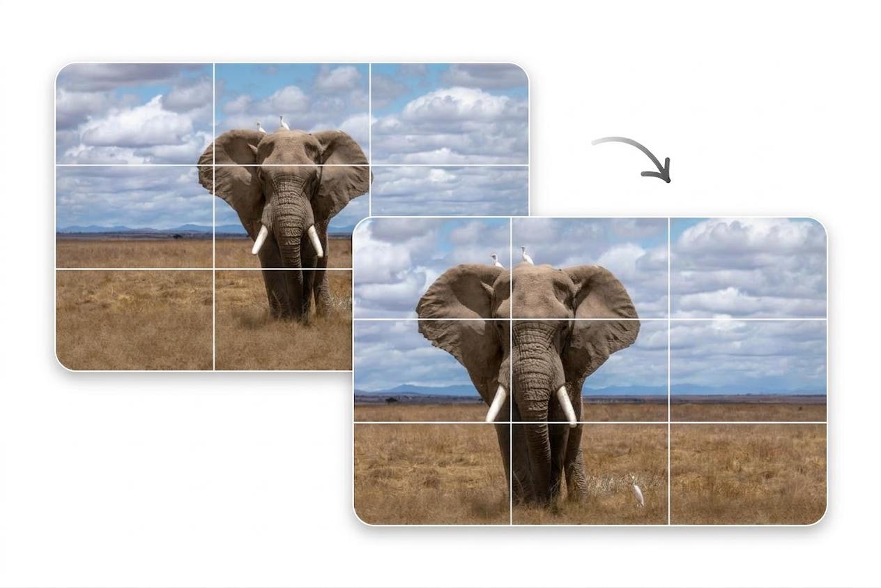 Rogner une photo dun éléphant pour améliorer la composition