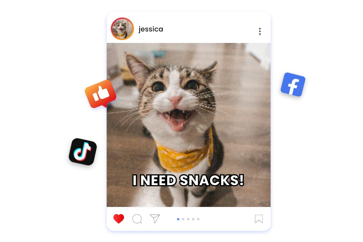 おもしろ猫ミームもAIで簡単に作成