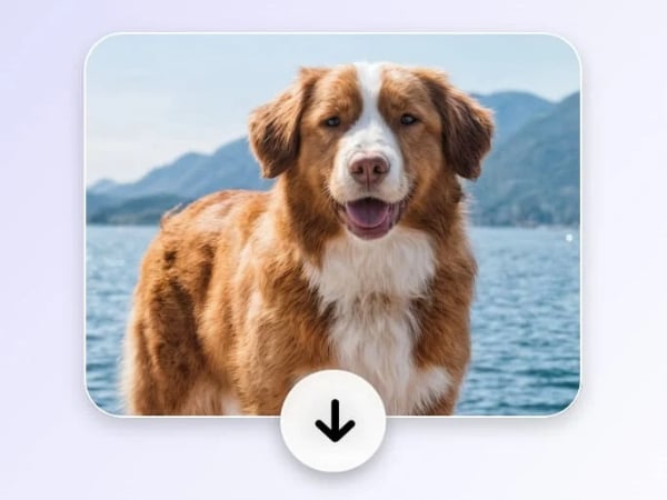 Step 3 download unblurred image in HD quality