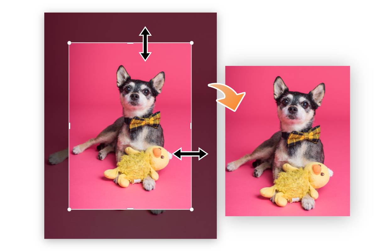 image-stretcher-stretch-image-online-for-free-fotor