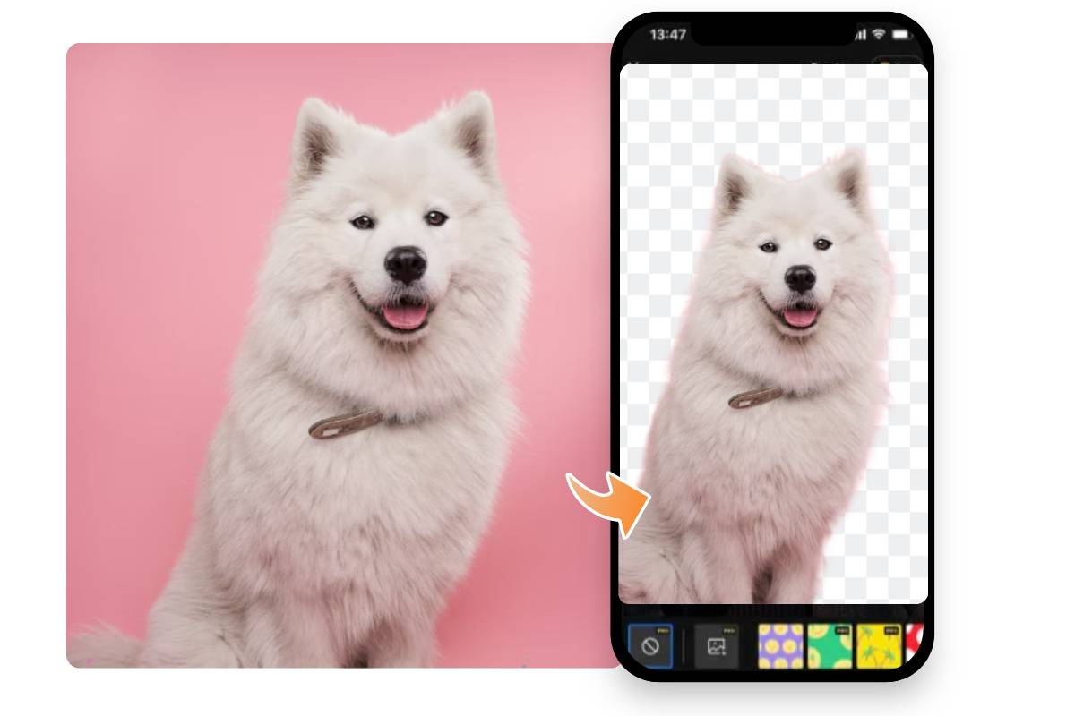 png透過フリーソフト