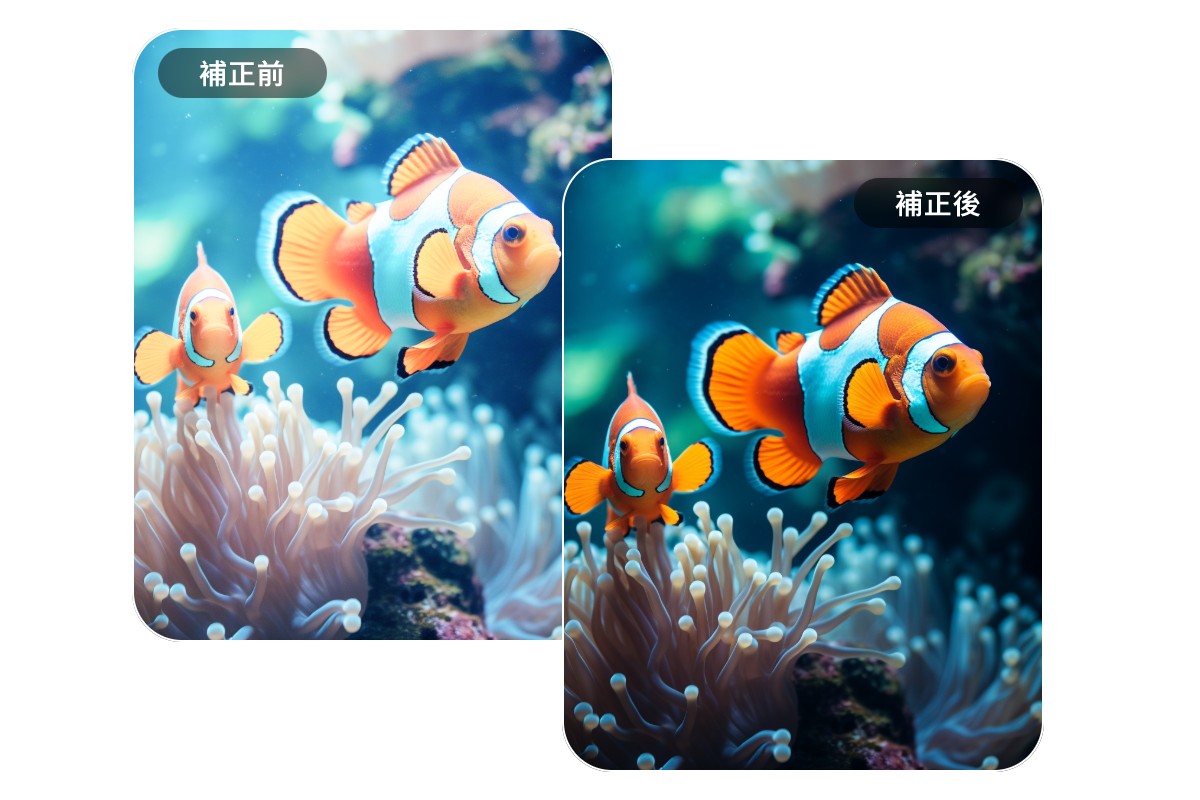 Fotorを使って悪い露出値の設定による白飛び写真を補正する