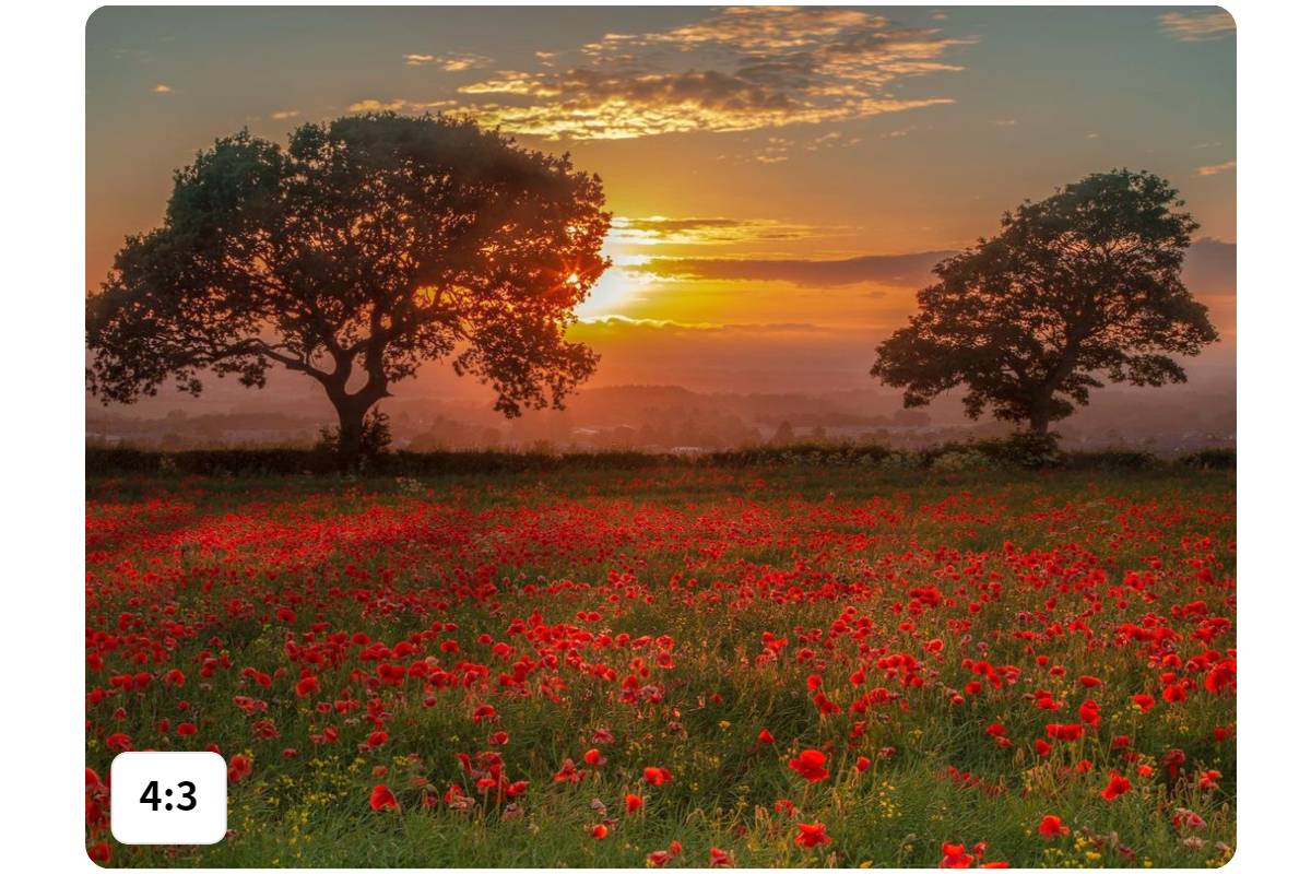 Ein Querformat-Bild mit Seitenverhältnis 4:3