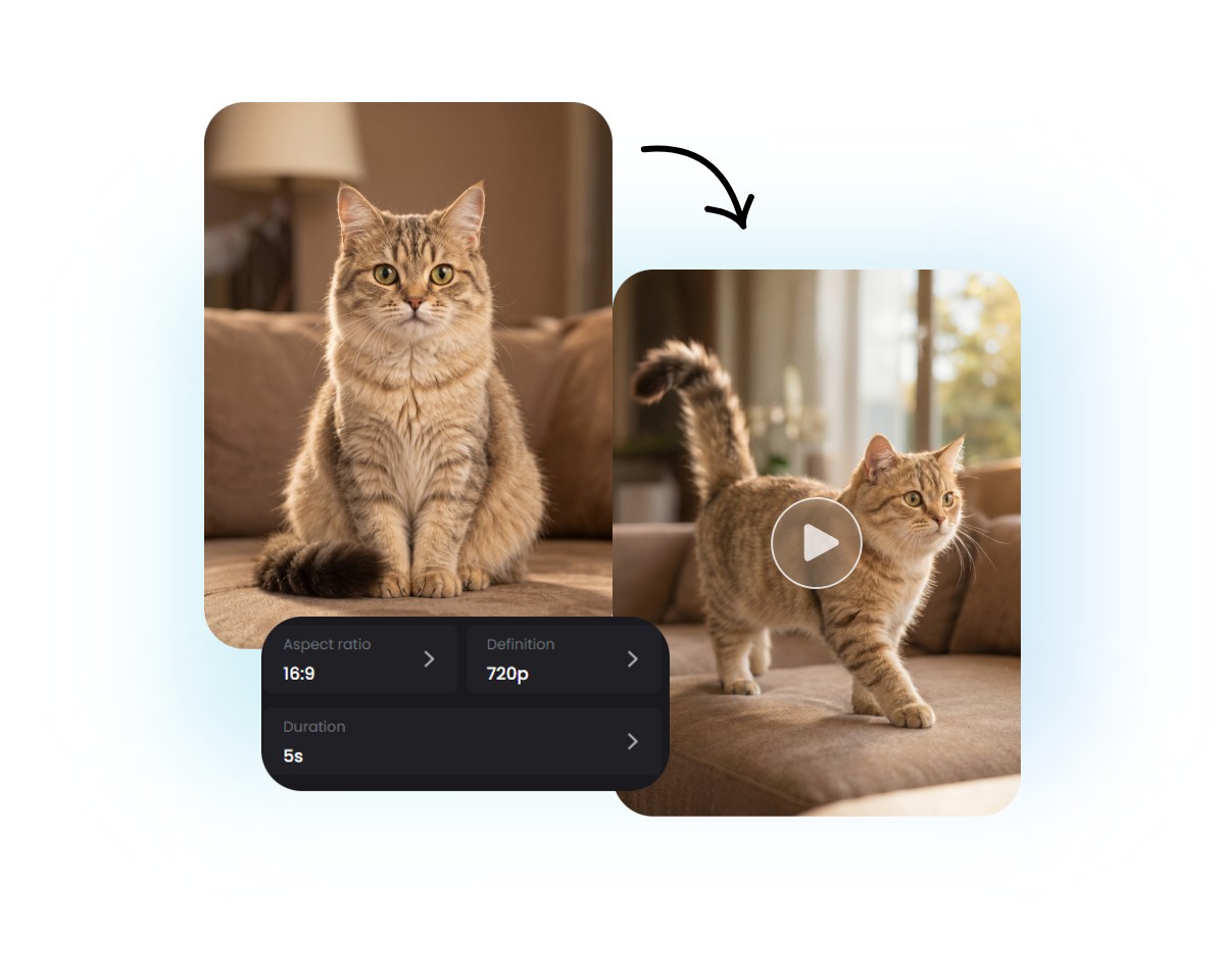 Adjust the settings and animate the cat photo