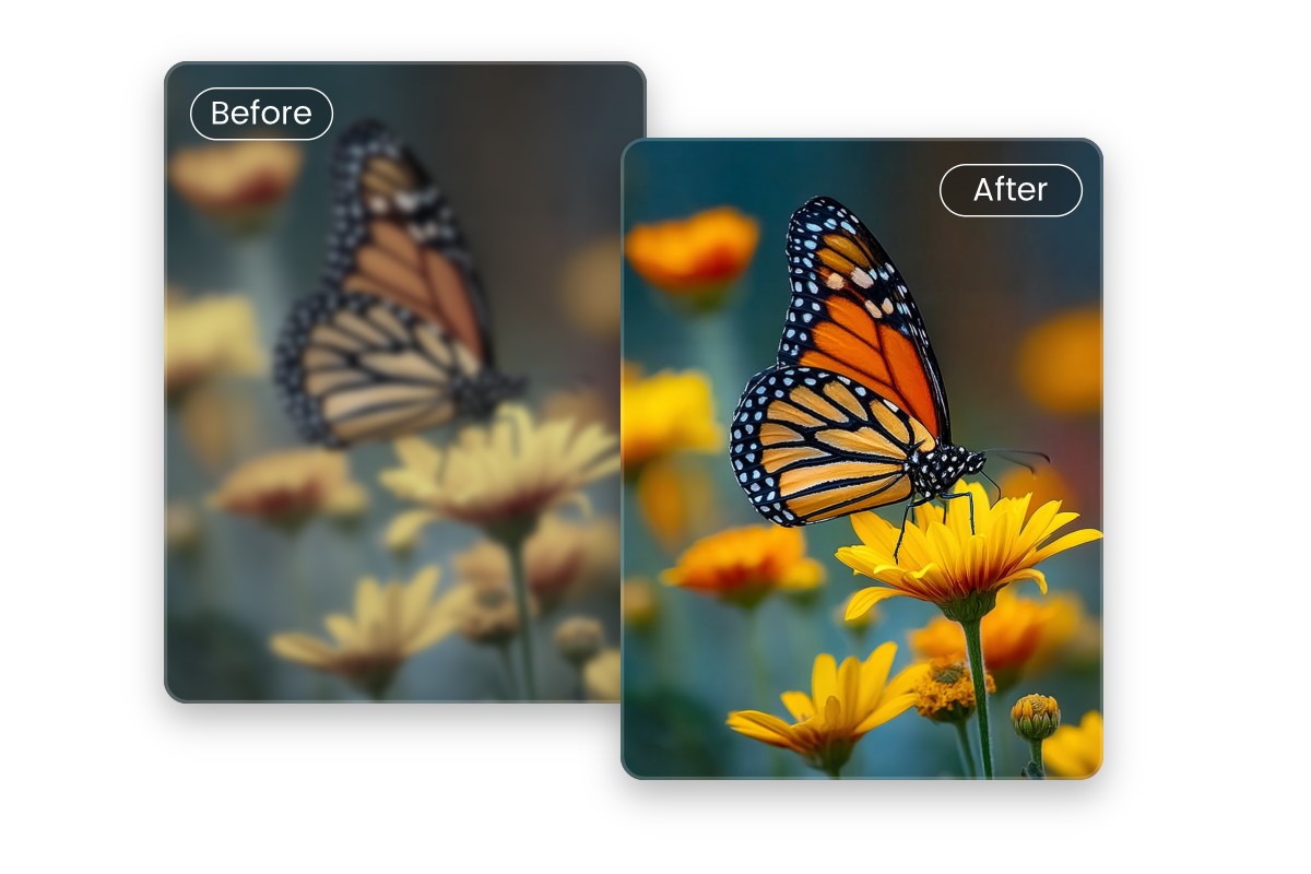 Ai enhance the photo of a butterfly hovering on a flower