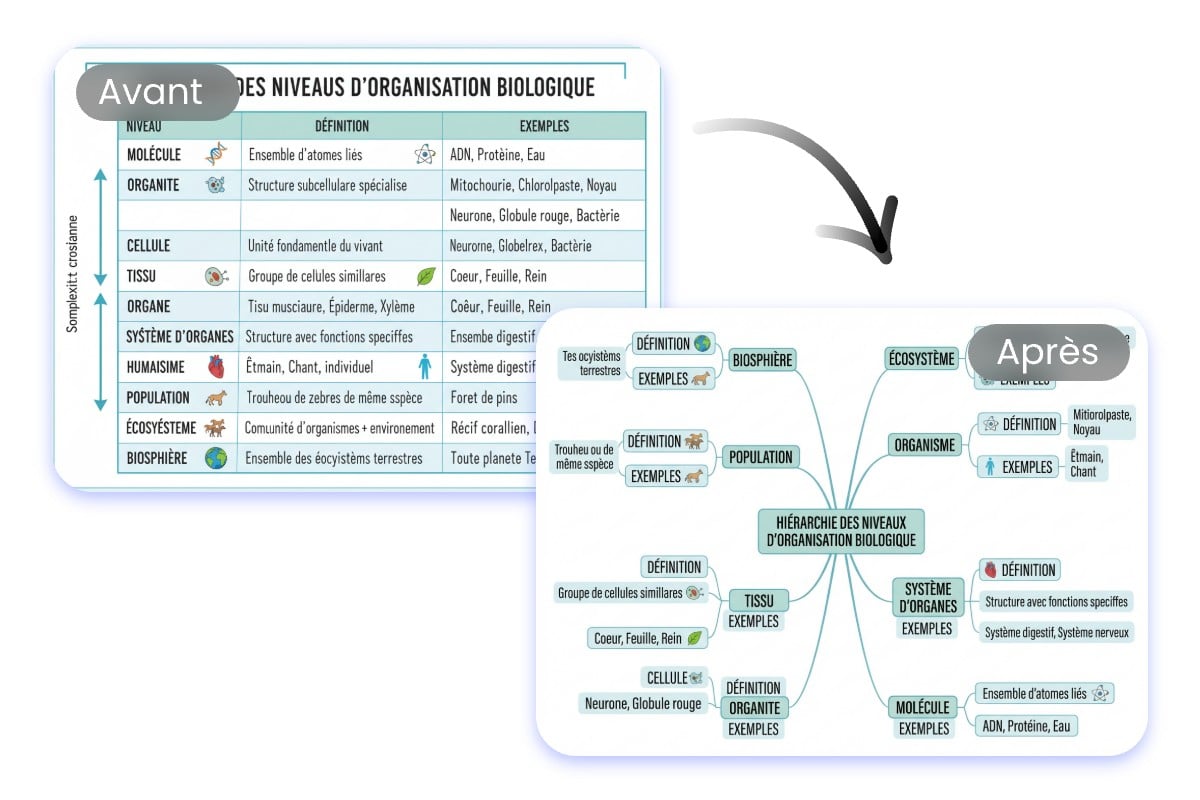 Analyser une image pour une carte mentale ia