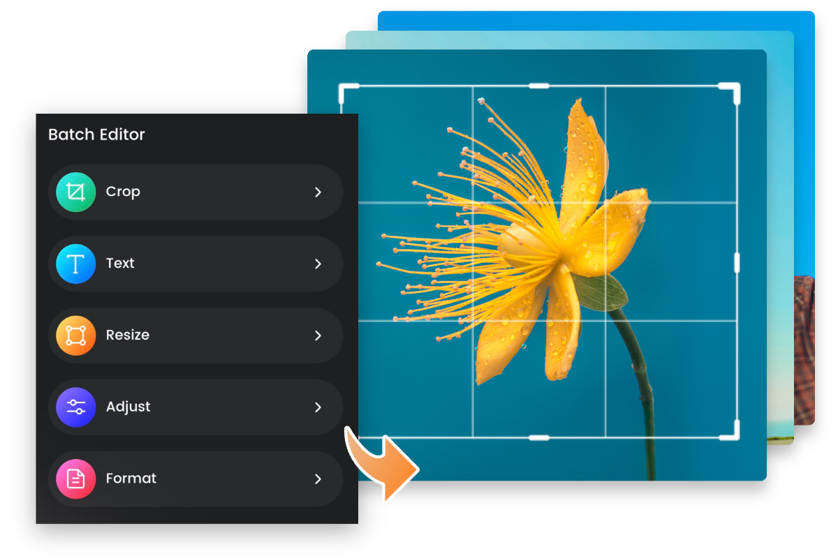 Outils par lots dans Fotor