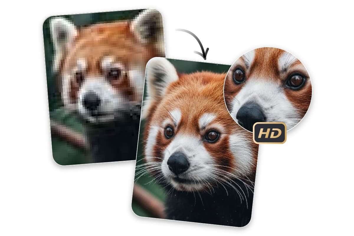 Before and after comparison using Fotor blur remover to unblur image and upscale to full HD quality