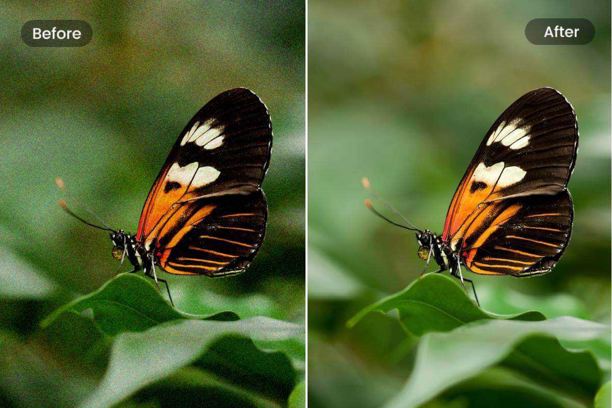 Denoise Image With Fotor s Image Noise Reduction