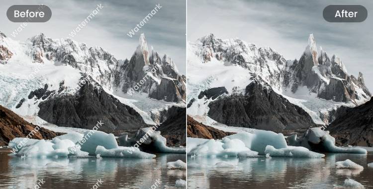 Fotorの消しゴムマジックツールで画像から透かしを消す前後の対比の写真