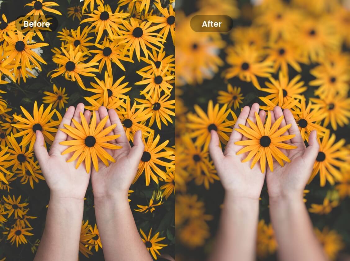 free photo editor to blur background