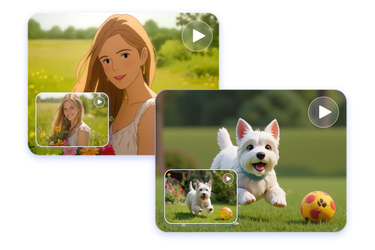 Cartoon video filter suitable for various subjects including human animal object and scenery