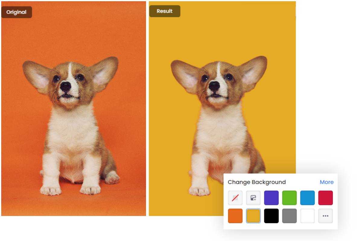 PNG Color Changer giúp bạn thay đổi màu sắc của ảnh PNG dễ dàng và nhanh chóng. Với các công cụ và tính năng được tích hợp sẵn, bạn có thể tùy chỉnh màu sắc của ảnh để phù hợp với nhu cầu của mình. Hãy truy cập ngay để khám phá nhé!