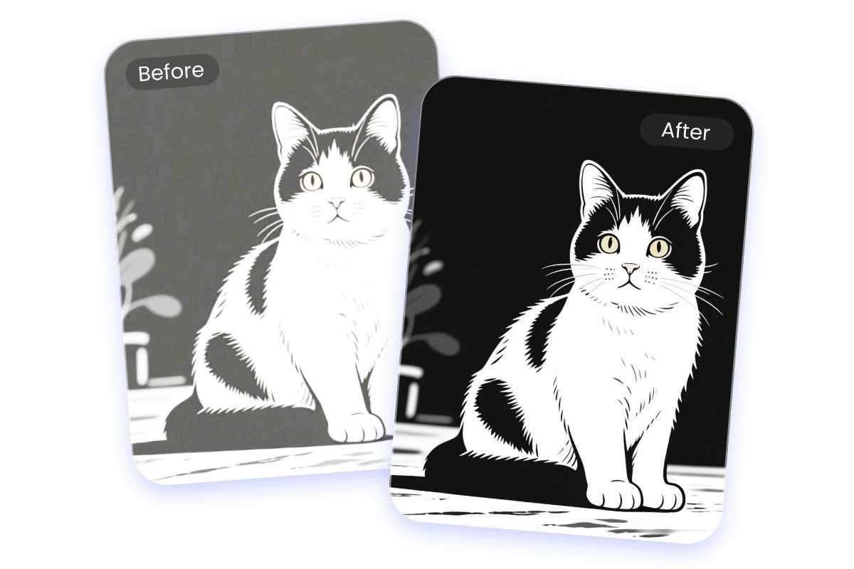 Contrast an overexposed black and white cat photo to a normal one