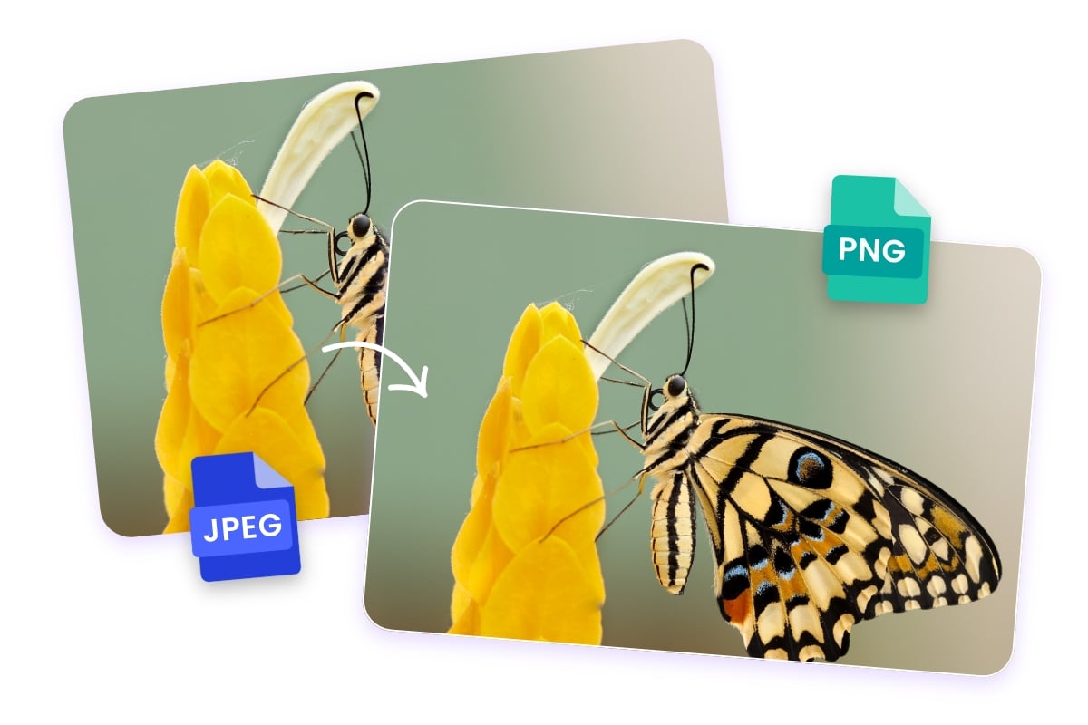 Convert a jpeg image of a butterfly to png fortmat