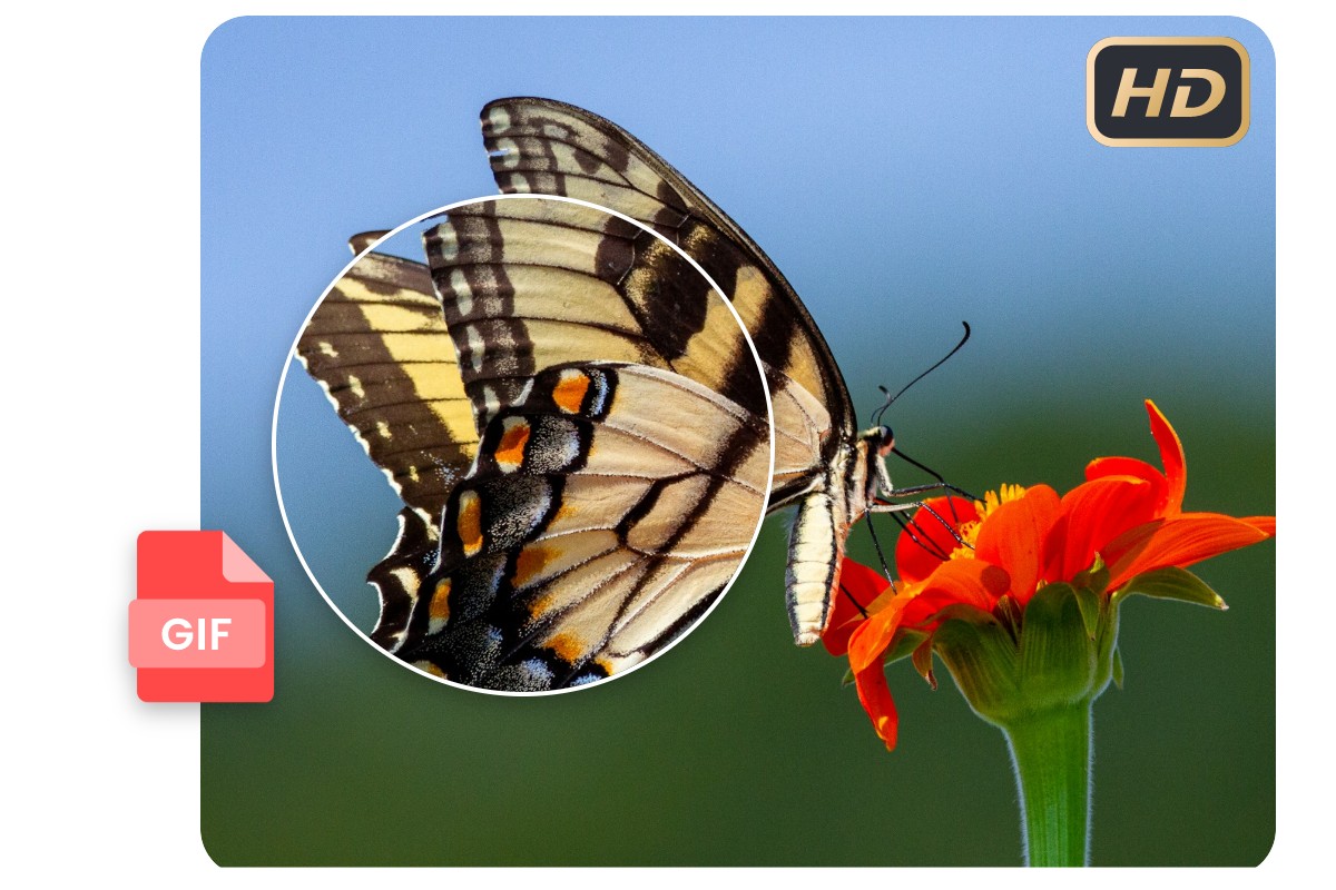 Png to gif converter free online fotor