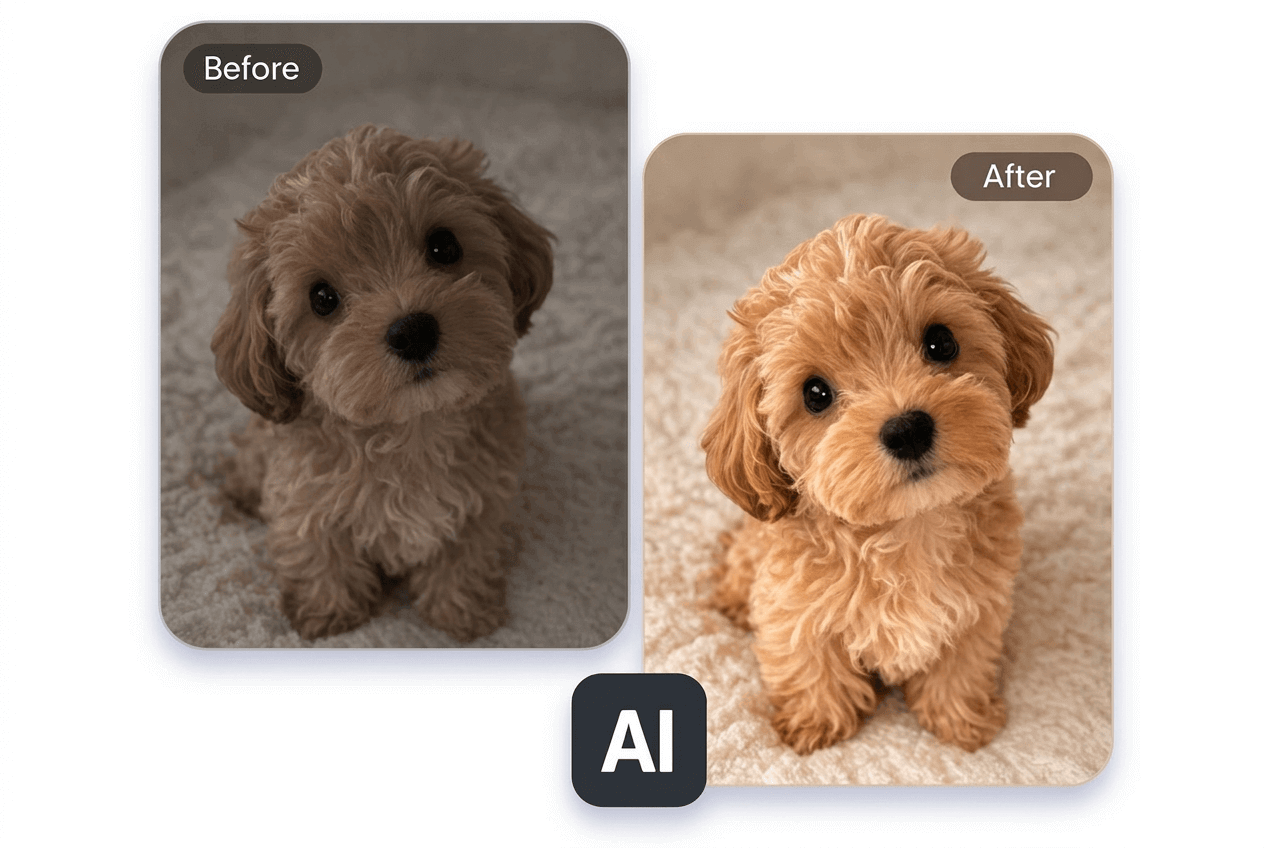 Convert low contrast dog image to high contrast