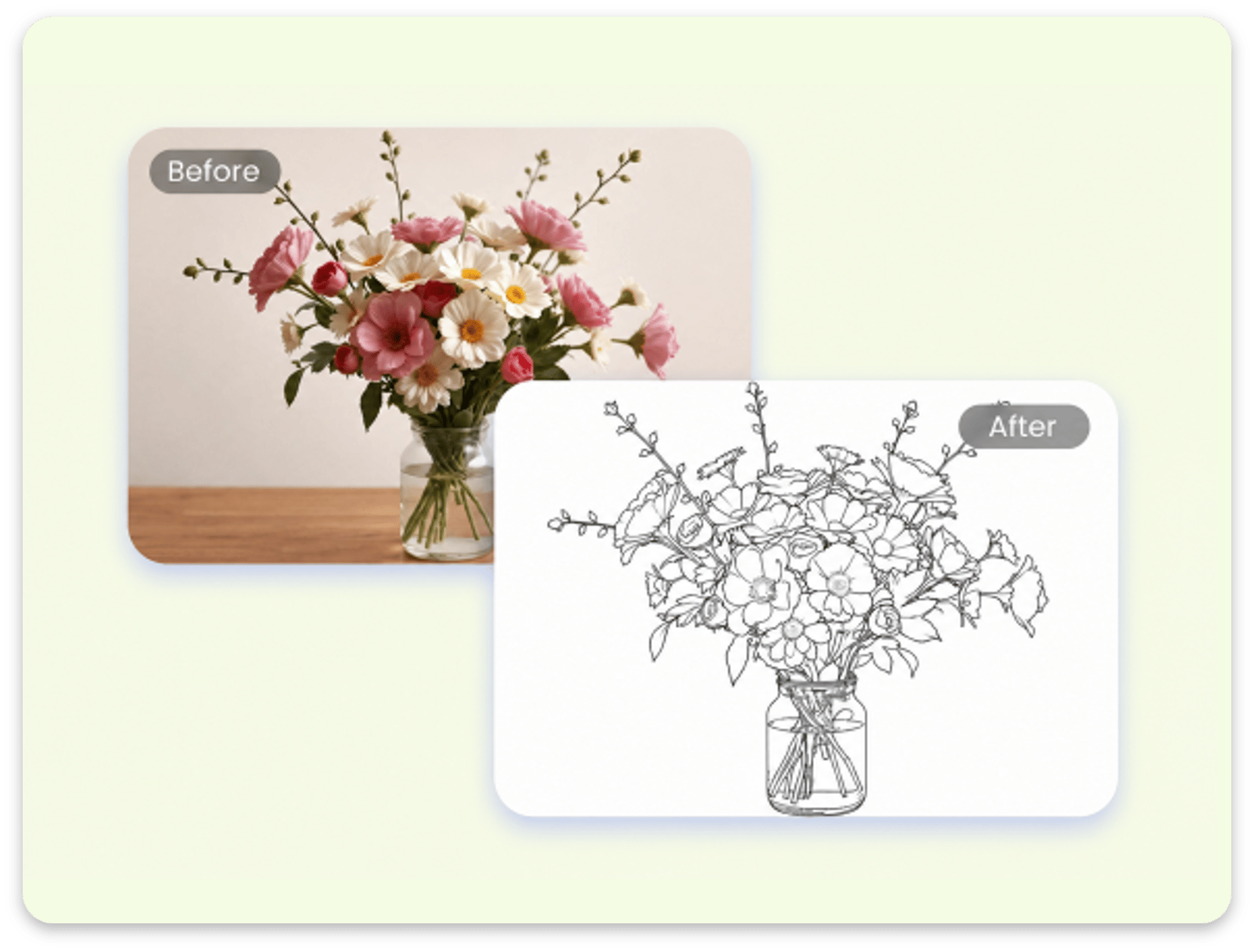 Convert still life picture into line drawing