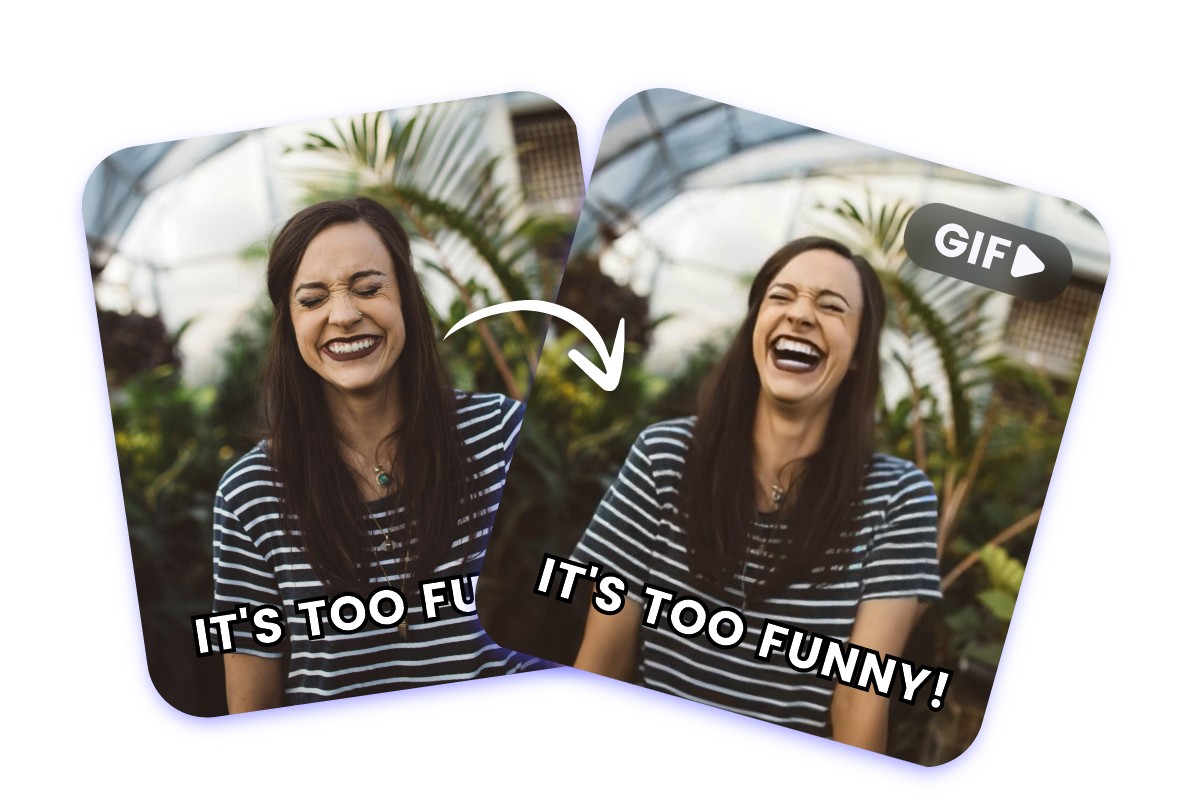 Create GIF portrait memes from image in Fotor GIF meme maker