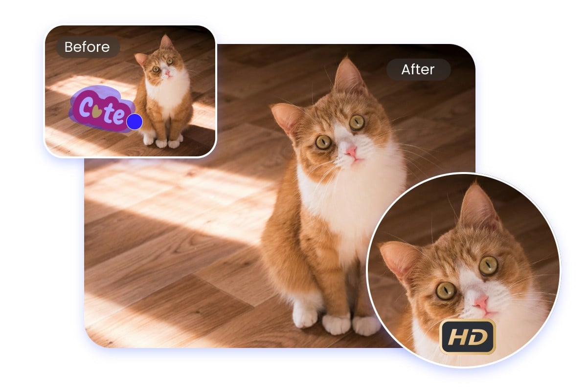 Delete the stamp on a cat picture with hd quality