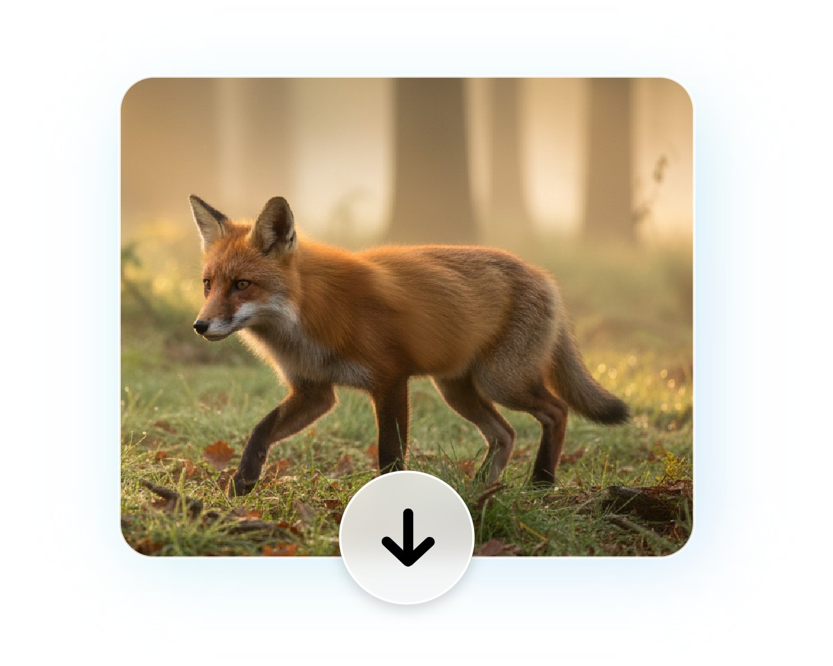 Download the ai photography of a fox