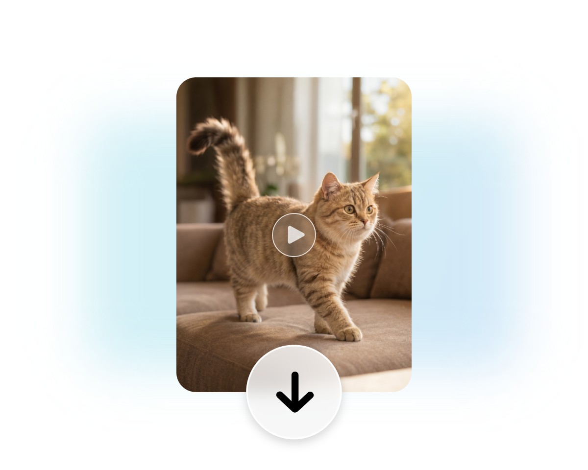 Download the animated cat photo