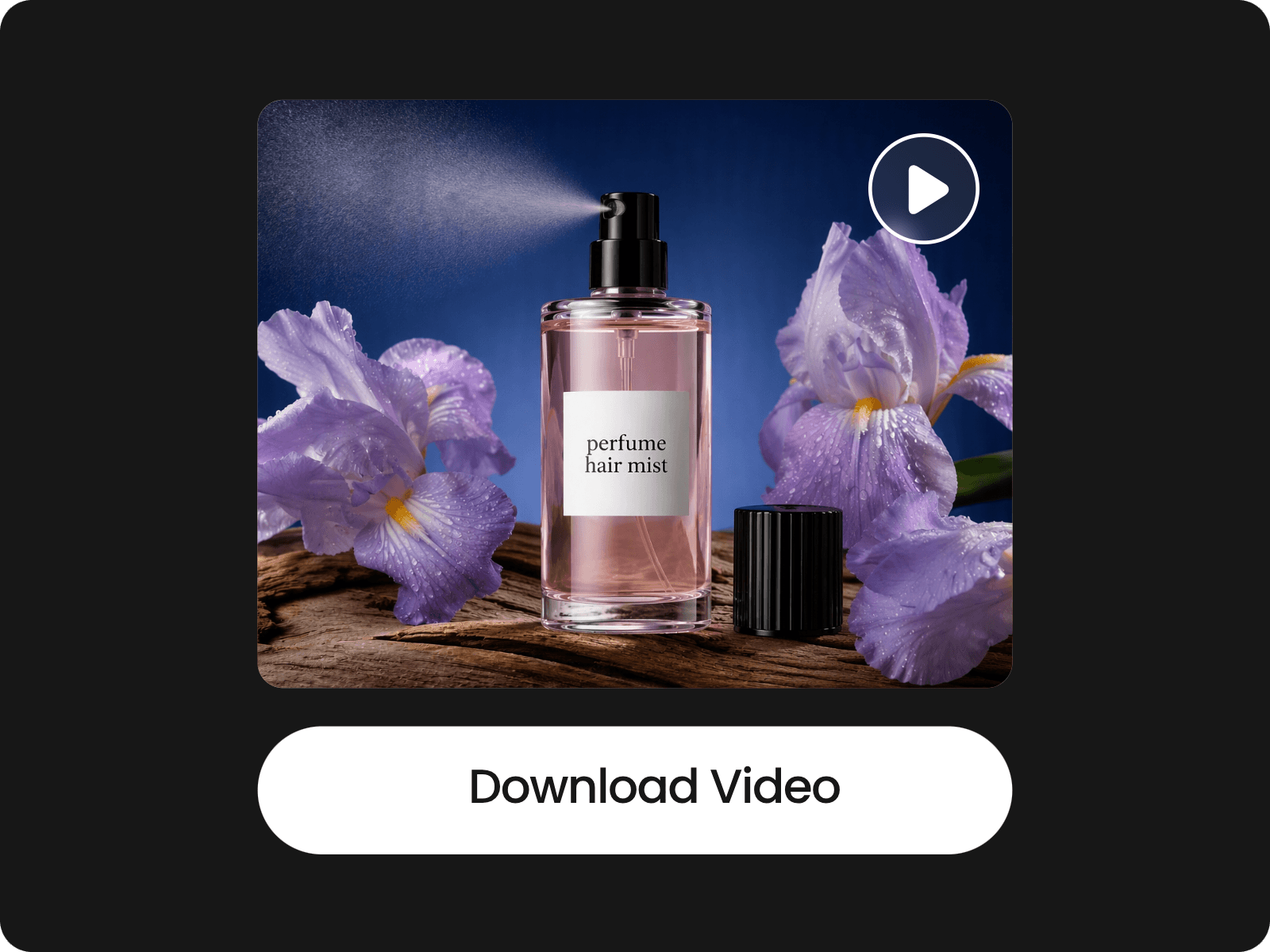Download the complete video from fotor