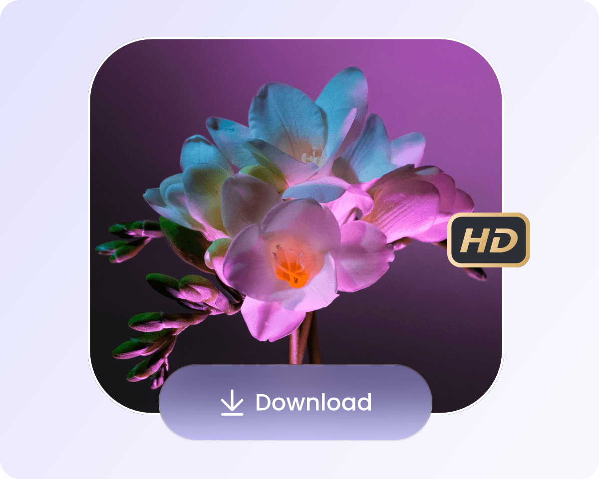 Download the hd version of a flower photo