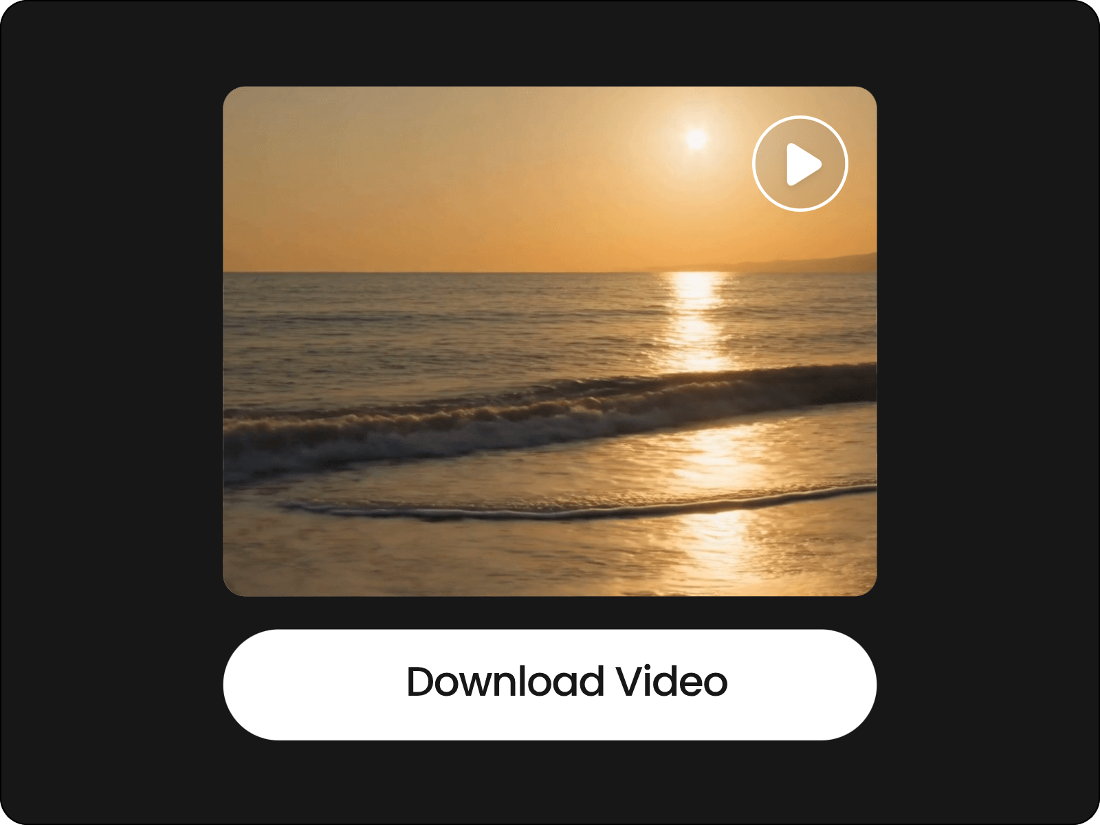 Download your b roll footage from fotor