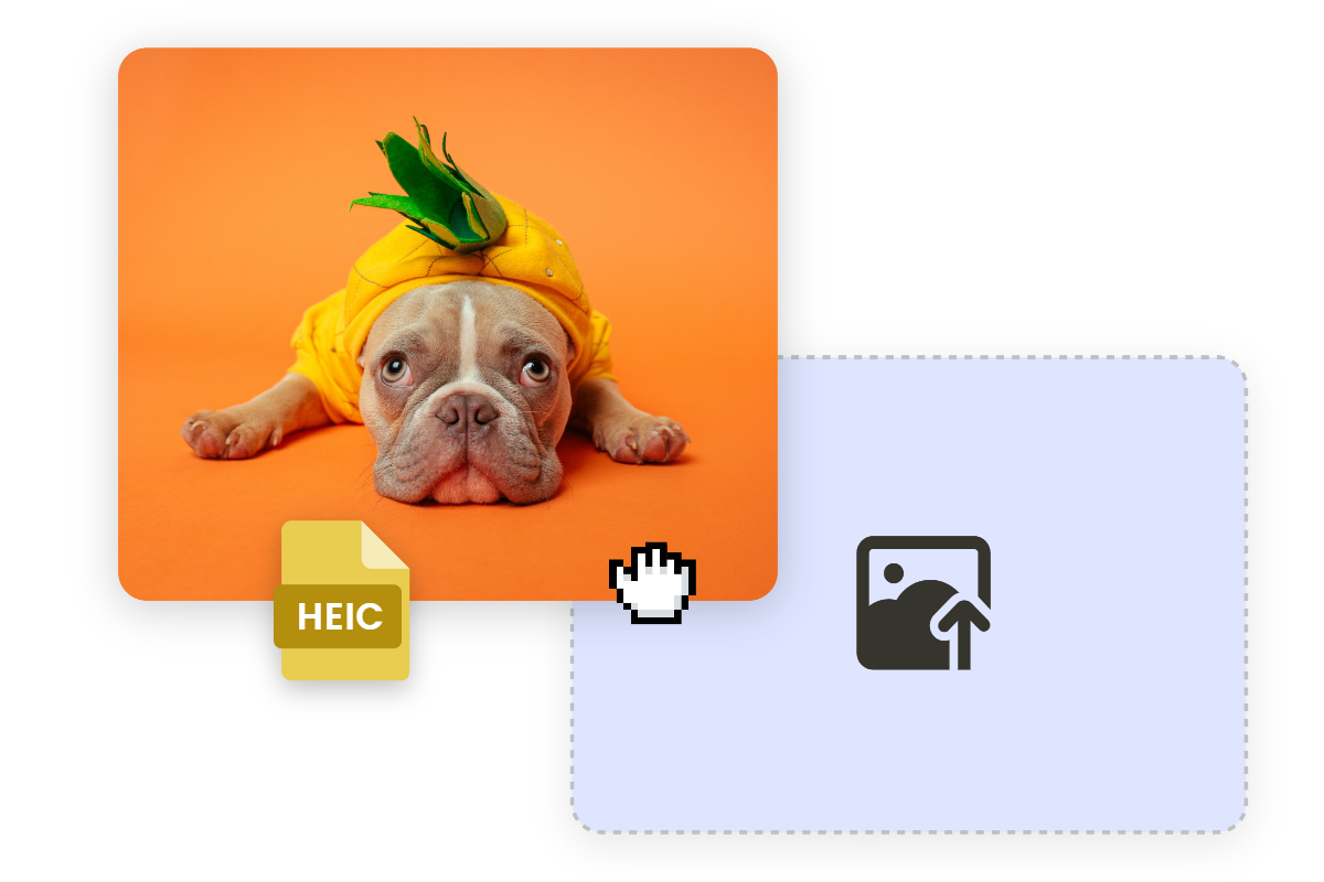drag-and-drop-the-cute-dog-heic-image-to-fotor-heic-converter.png