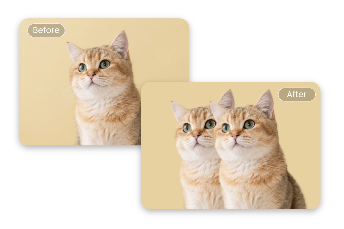 Duplicate the cat in a photo