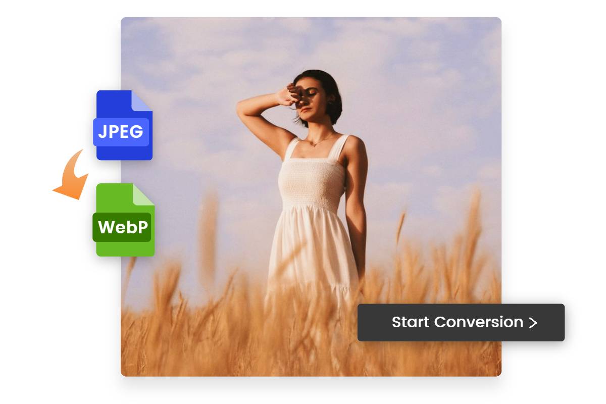 Convert JPEG To WebP Online Free (Fast & Easy) | Fotor