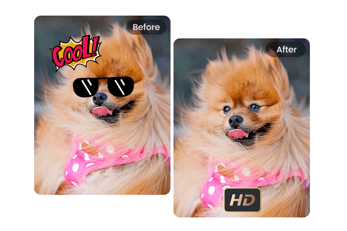 remove stickers from image of a dog and maintain high quality