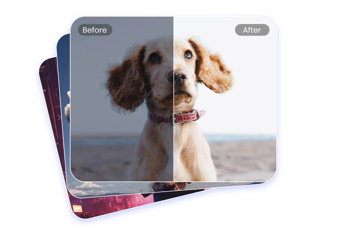 Enhance several photos in bulk with fotor photo enhancer
