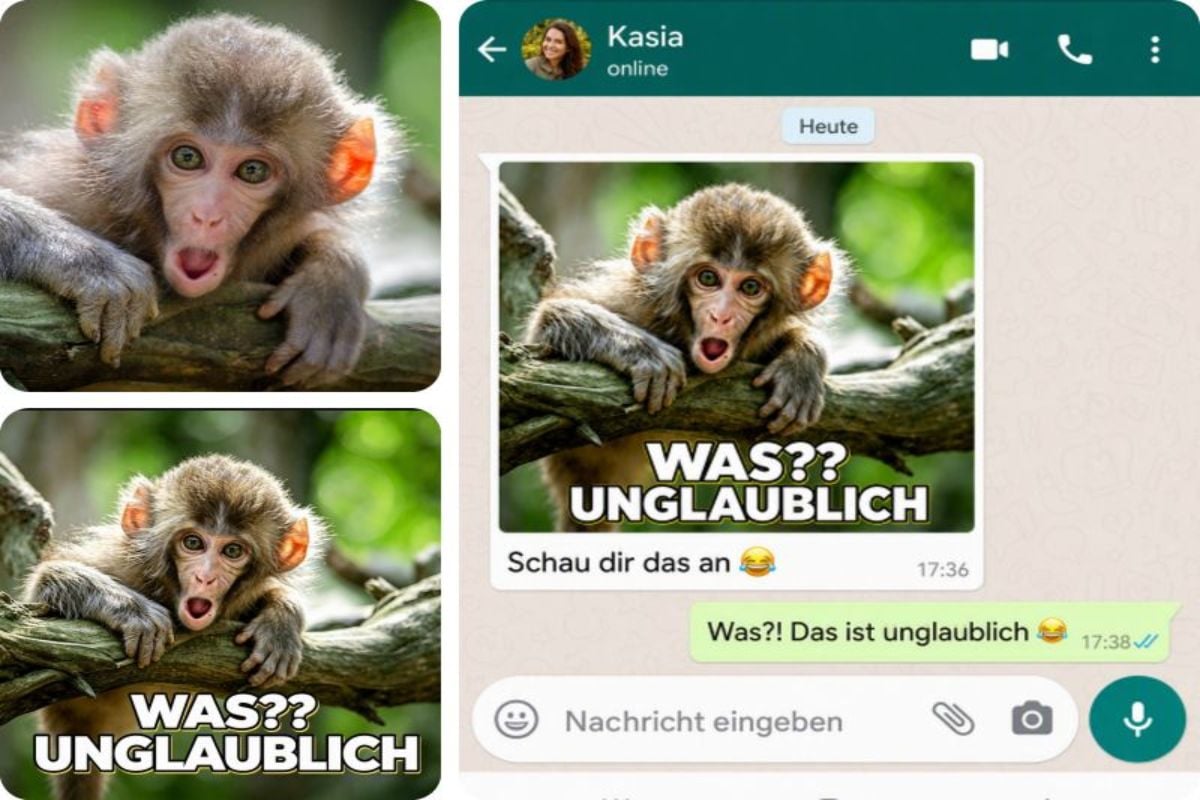 Erstelle ki meme fuer deine chats