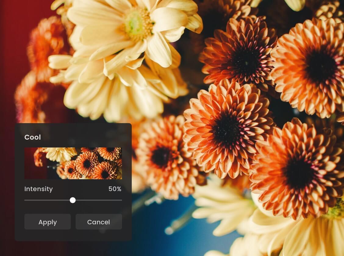 Funky Photo Effects, Fotor – Free Online Funky Photo Effects & Filters