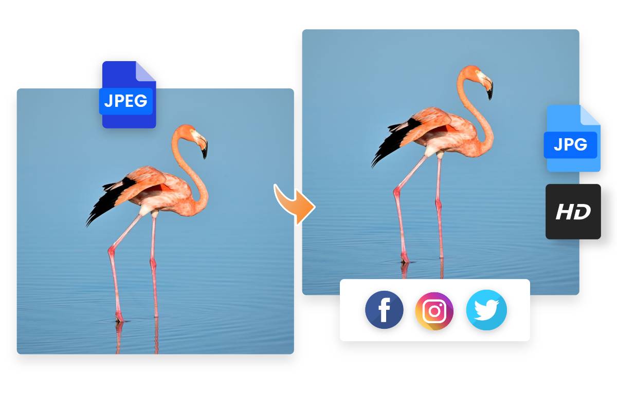 JPEG To JPG Convert JPEG To JPG Online Free Fotor