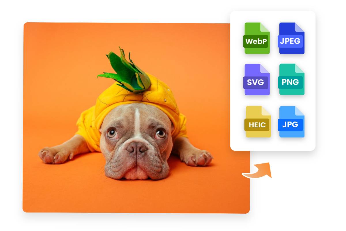 Fotor jpeg to webp converter supports webp jpeg svg png heic and jpg file formats