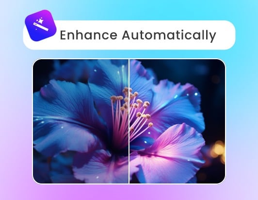 Fotor makes the uploaded flower video clearer automatically