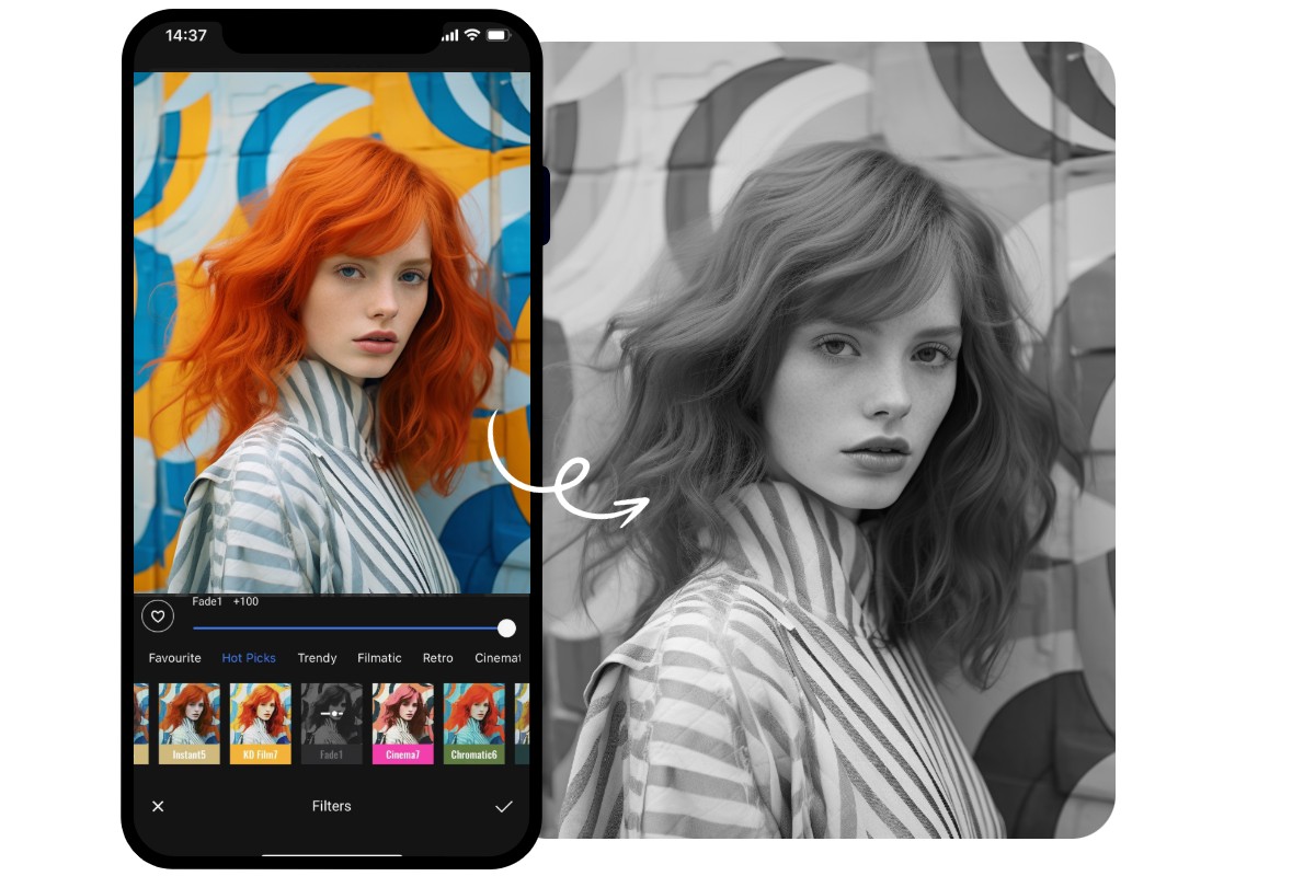 Black and White Filter Online for Images Fotor