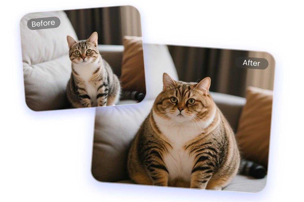 写真のかわいい子猫を太らせる