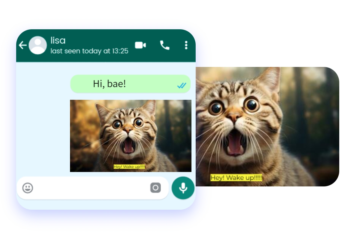 Make a meme photo overlay of a frightening cat and use it for online chatting