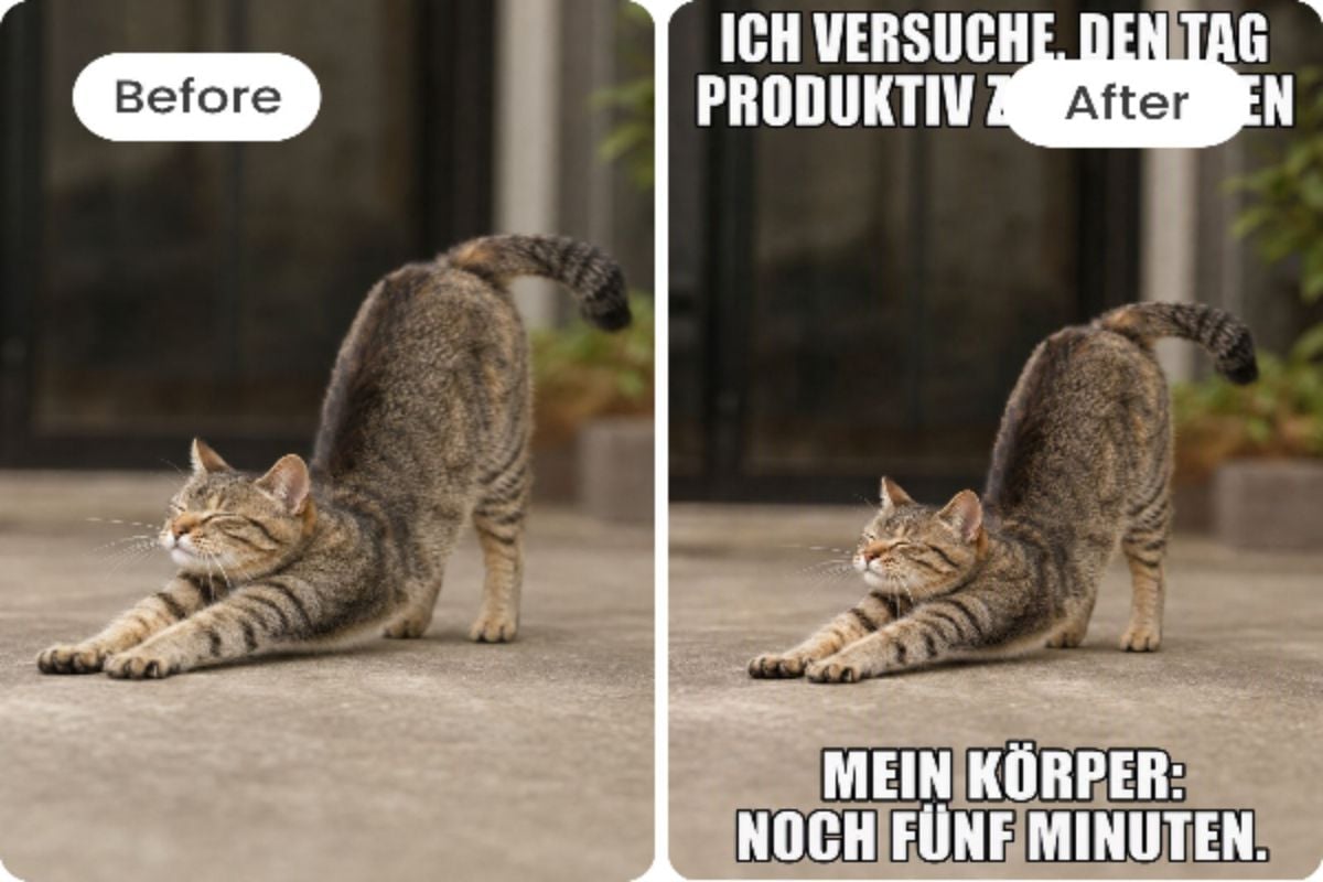 Mit dem ki meme generator von fotor erstelle ein ki meme aus deinem foto
