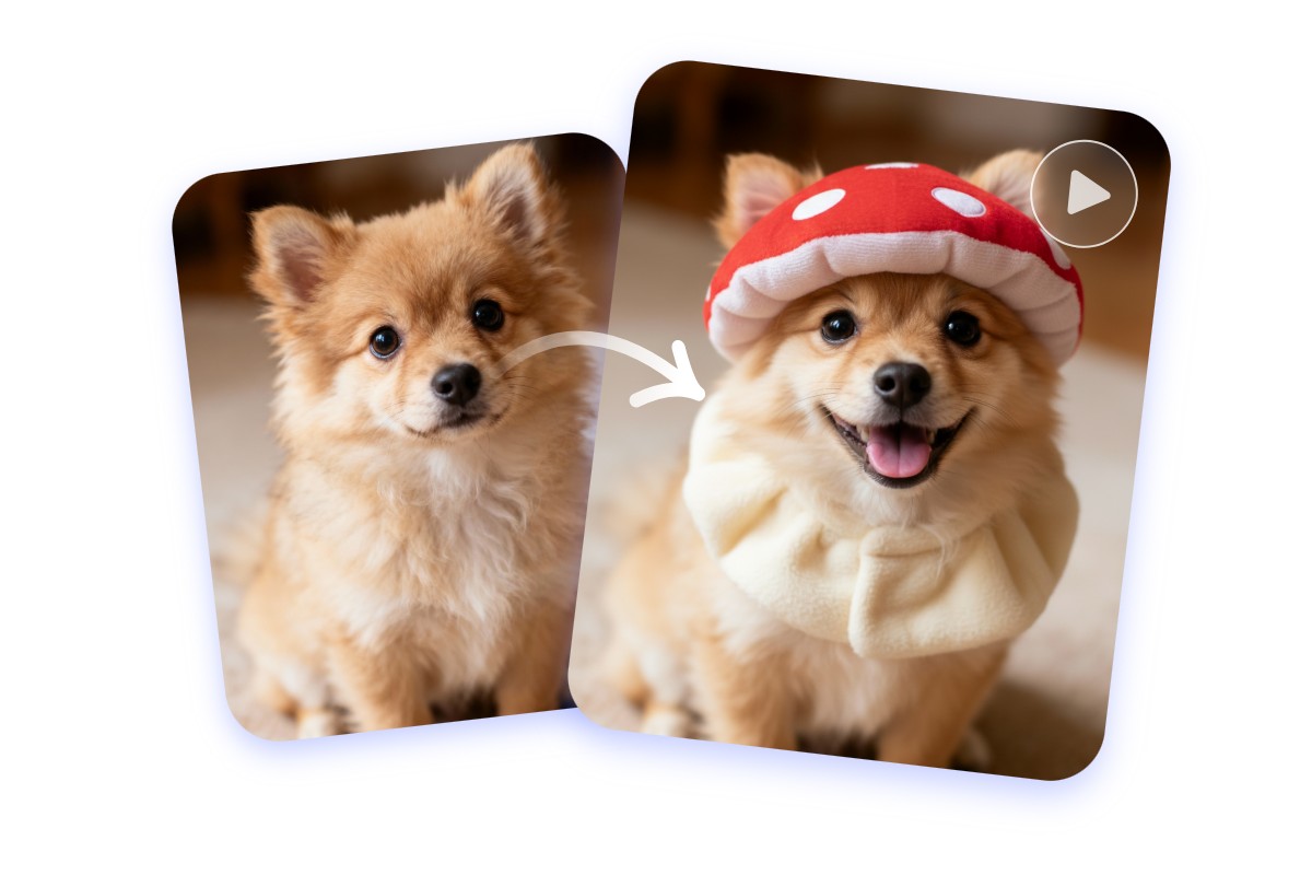 画像だけじゃない！愛くるしく動くきのこ犬・きのこ猫の動画も生成可能