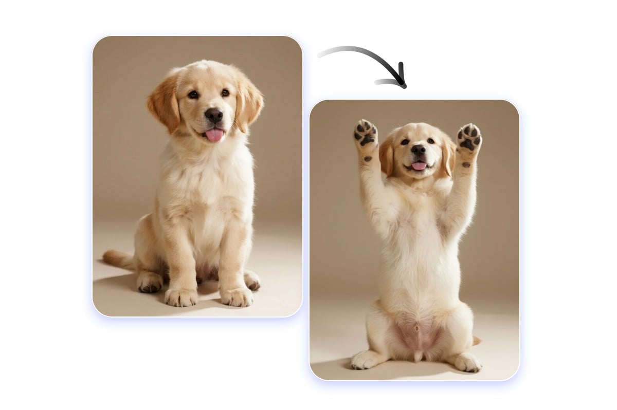 Not just human pose editing for pets and animals too