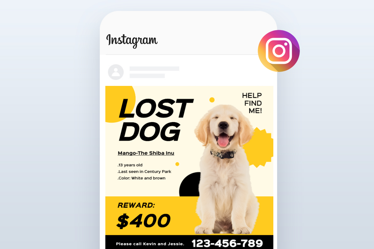Custom Lost Dog Flyer Templates with Free Flyer Maker | Fotor