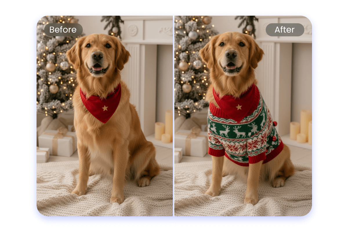 Put on christmas sweater for a cute dog
