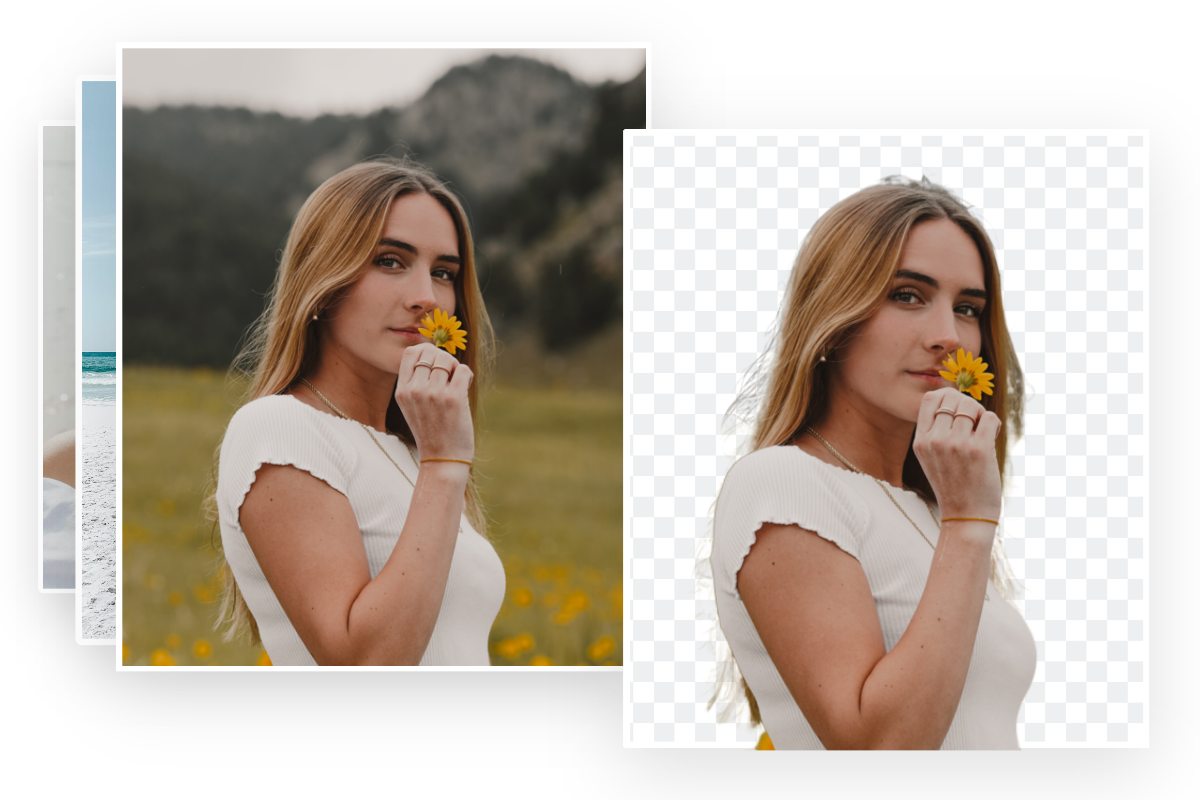 Bulk Image Background Remover: Make Transparent Backgrounds in Batches ...